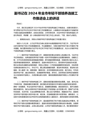 副书记在2024年全市年轻干部培养选拔工作推进会上的讲话