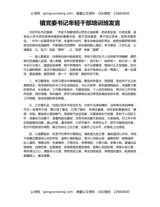 镇党委书记年轻干部培训班发言