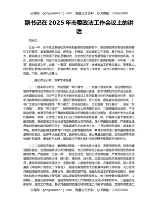 副书记在2025年市委政法工作会议上的讲话