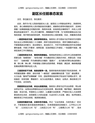 副区长任前表态发言