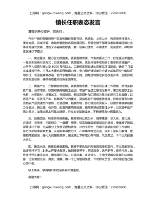 镇长任职表态发言