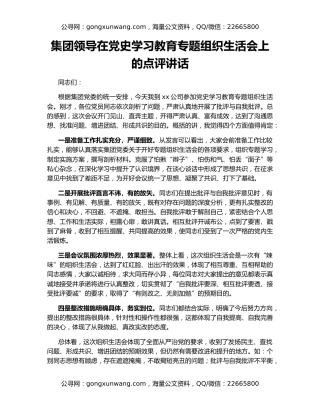 集团领导在党史学习教育专题组织生活会上的点评讲话