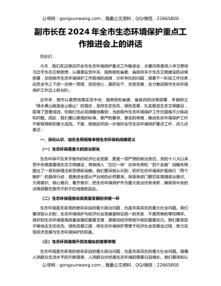 副市长在2024年全市生态环境保护重点工作推进会上的讲话