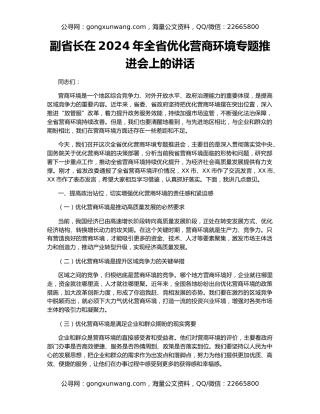 副省长在2024年全省优化营商环境专题推进会上的讲话