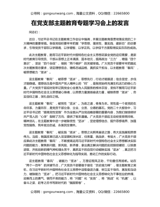 在党支部主题教育专题学习会上的发言