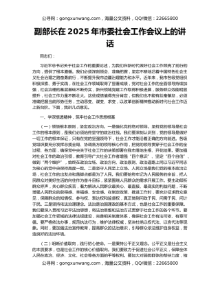 副部长在2025年市委社会工作会议上的讲话