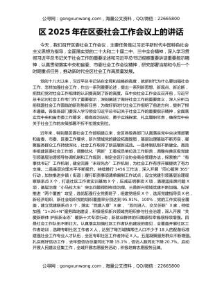区2025年在区委社会工作会议上的讲话