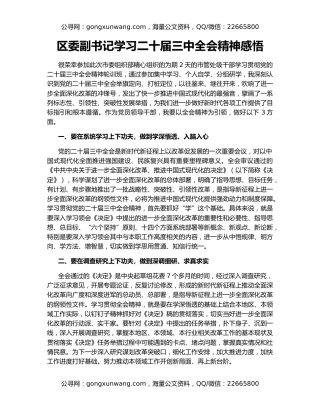 区委副书记学习二十届三中全会精神感悟