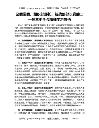 区委常委、组织部部长、统战部部长党的二十届三中全会精神学习感悟
