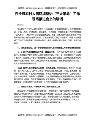 在全县农村人居环境整治“三大革命”工作现场推进会上的讲话
