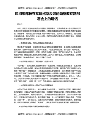 区组织部长在党建巡察反馈问题整改专题部署会上的讲话