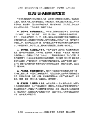 区统计局长任前表态发言