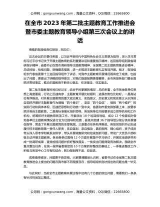 在全市2023年第二批主题教育工作推进会暨市委主题教育领导小组第三次会议上的讲话