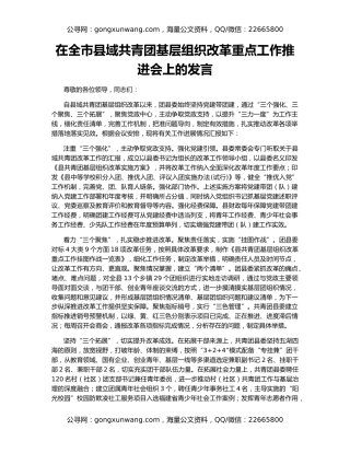 在全市县域共青团基层组织改革重点工作推进会上的发言