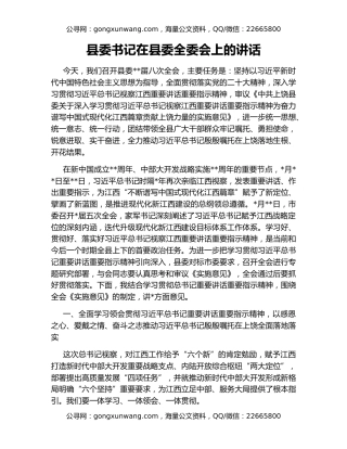县委书记在县委全委会上的讲话