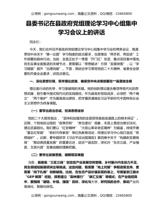 县委书记在县政府党组理论学习中心组集中学习会议上的讲话