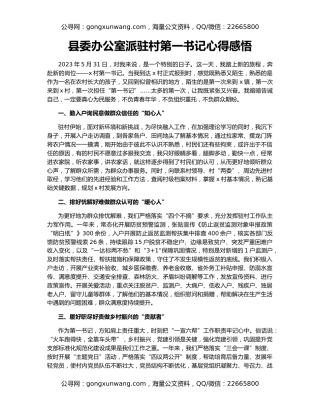 县委办公室派驻村第一书记心得感悟