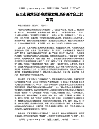 在全市民营经济高质量发展理论研讨会上的发言