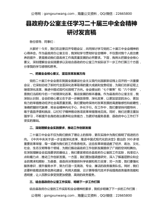 县政府办公室主任学习二十届三中全会精神研讨发言稿