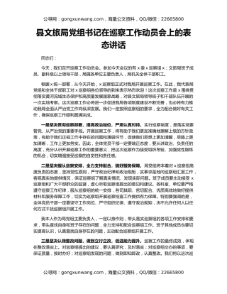 县文旅局党组书记在巡察工作动员会上的表态讲话