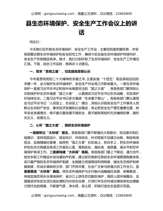 县生态环境保护、安全生产工作会议上的讲话