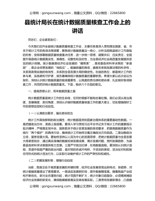 县统计局长在统计数据质量核查工作会上的讲话