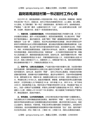 县财政局派驻村第一书记驻村工作心得