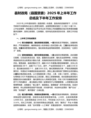县财政局（县国资委）2025年上半年工作总结及下半年工作安排