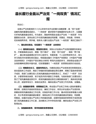 县长履行全面从严治党“一岗双责”情况汇报