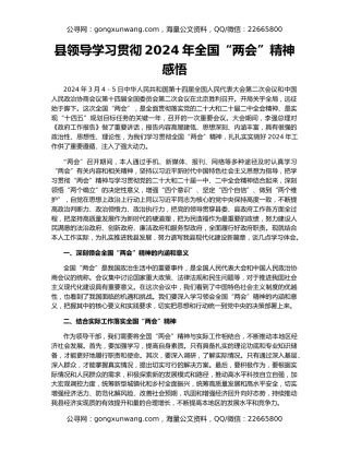 县领导学习贯彻2024年全国“两会”精神感悟