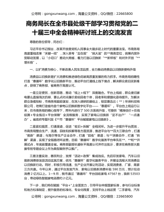 商务局长在全市县处级干部学习贯彻党的二十届三中全会精神研讨班上的交流发言