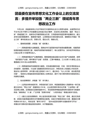 团县委在宣传思想文化工作会议上的交流发言：多措并举加强“两企三新”领域青年思想政治工作