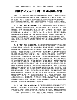 团委书记交流二十届三中全会学习感悟