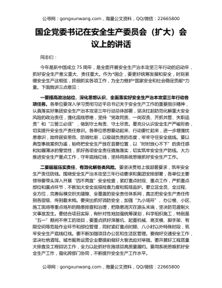 国企党委书记在安全生产委员会（扩大）会议上的讲话