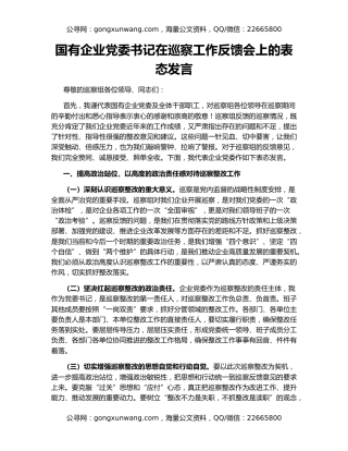 国有企业党委书记在巡察工作反馈会上的表态发言