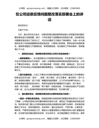 在公司巡察反馈问题整改落实部署会上的讲话