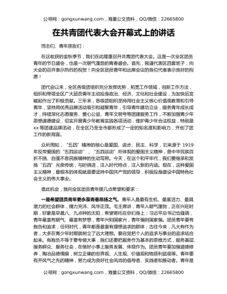 在共青团代表大会开幕式上的讲话