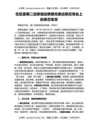 在区委第二巡察组巡察镇党委巡察反馈会上的表态发言