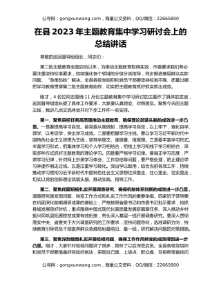 在县2023年主题教育集中学习研讨会上的总结讲话