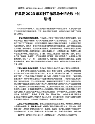 在县委2023年农村工作领导小组会议上的讲话