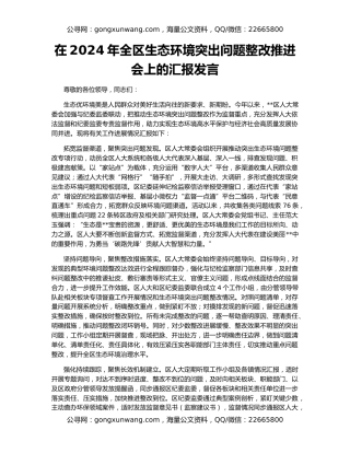 在2024年全区生态环境突出问题整改推进会上的汇报发言
