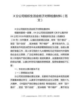 X分公司组织生活会班子对照检查材料（范文）