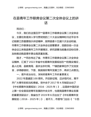 在县青年工作联席会议第二次全体会议上的讲话