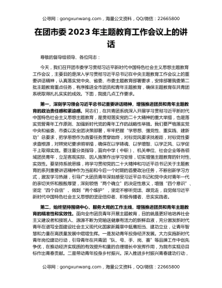 在团市委2023年主题教育工作会议上的讲话
