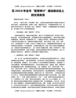 在2024年全市“智慧审计”建设座谈会上的交流发言