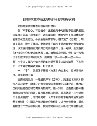 对照党章党规找差距检视剖析材料