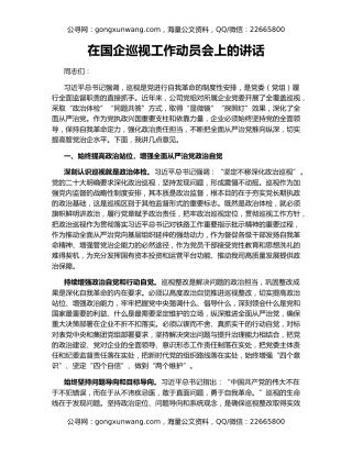 在国企巡视工作动员会上的讲话