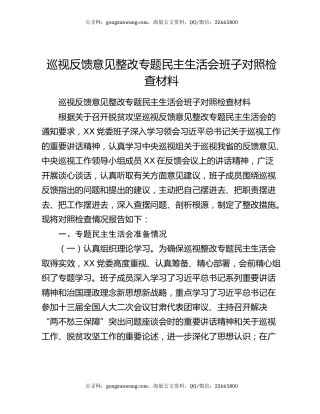 巡视反馈意见整改专题民主生活会班子对照检查材料