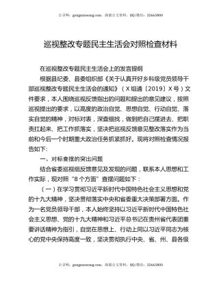 巡视整改专题民主生活会对照检查材料