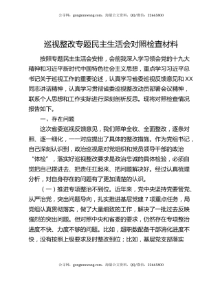 巡视整改专题民主生活会对照检查材料（2）